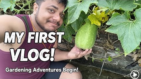 "Hello YouTube! | My First Vlog" 🎬 !! My First Random Vlog 🤔#MyFirstVlog#FirstVlog#RandomVlog#vlog01