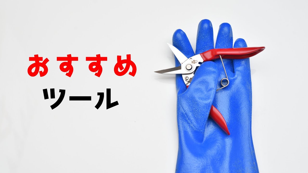 ケガ予防に最適 魚さばきのおすすめ道具紹介 水産用万能ハサミ ニトリル手袋 Youtube ケガ予防に最適 魚さばきのおすすめ道具紹介 水産用万能ハサミ ニトリル手袋 Youtube