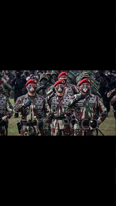 Story Wa Cita Cita jadi TNI💪