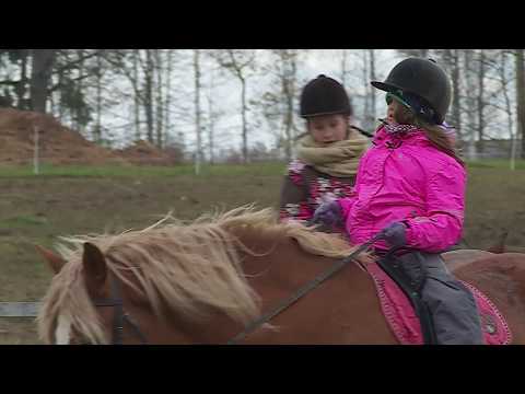 Video: Jūras zirgs: pavairošana, apraksts, dzīvotne, sugas pazīmes, dzīves cikls, īpašības un pazīmes