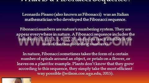 Assessment 2 Maths Phenomenon Presentation