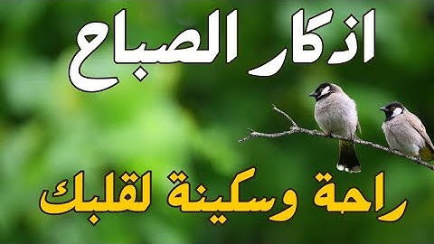 أذكار الصباح بصوت جميل هادئ مريح للقلب 💚 دعاء الصباح الذى إذا قلته كفاك الله ورزقك من حيث لا تحتسب