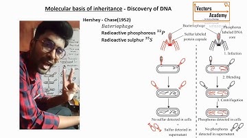 Molecular basis of Inheritance | Lecture 1 | Discovery of DNA