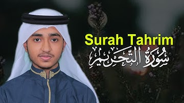 Surah At Tahrim Qari Abu Rayhan قاري أبو ريحان سورة التحريم