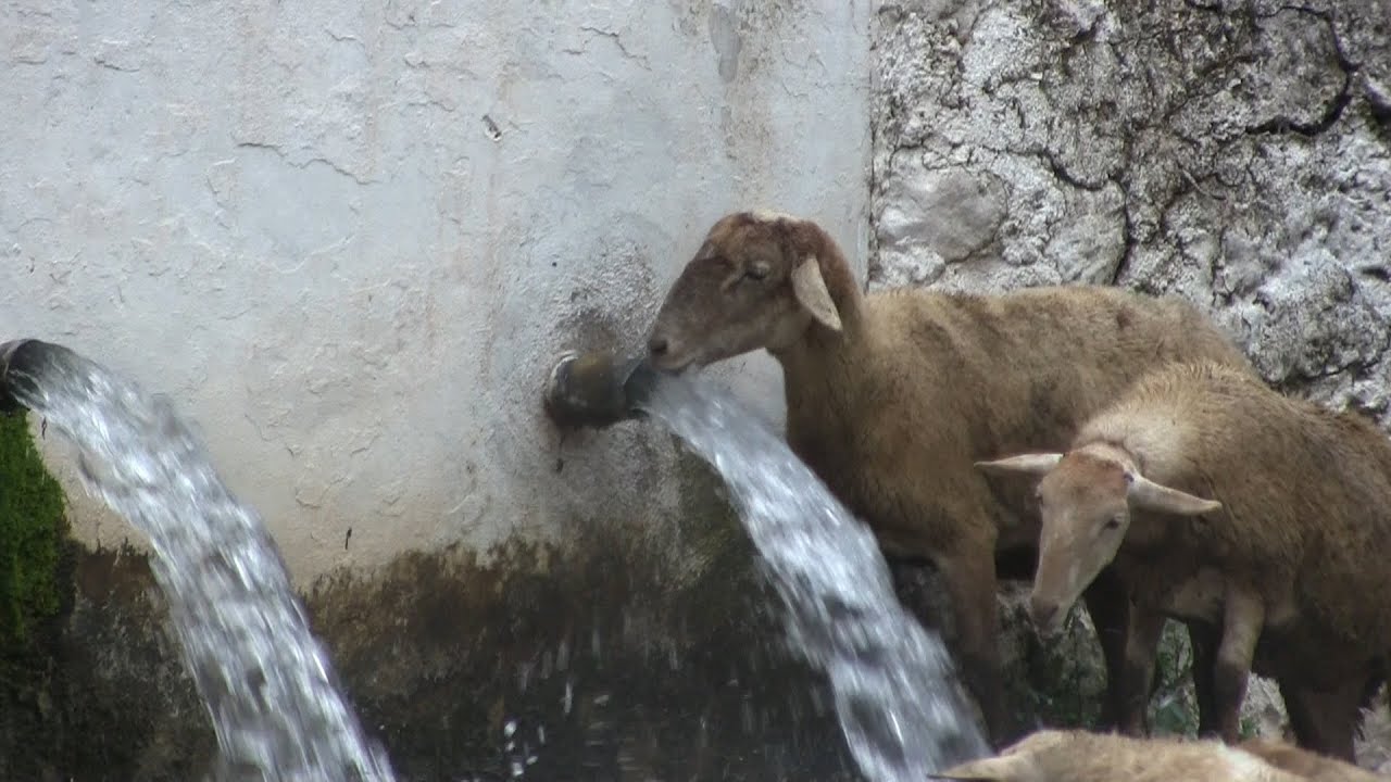 Fuente el Vadillo Tiscar Quesada (Jaén)