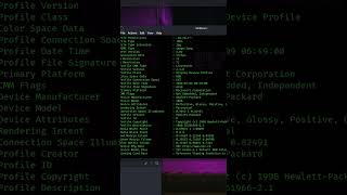How to install exiftool on kali linux #kalilinux #metadata #tools #linux #cybersecurity #shorts