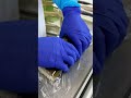 鯖の旨味を引き立てる道南産真昆布で巻いた【さば鮨 極】