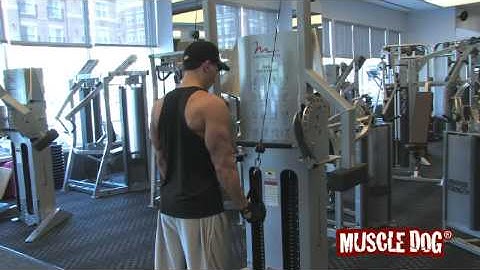 MuscleDog.com Presents: Reverse Grip Cable Press Down