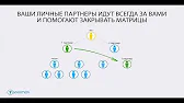 MLM-портфель