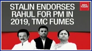 Stalin's Rahul As PM Pitch Divides Opposition, TMC Fumes