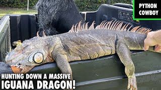 Hunting Down A Massive Iguana Dragon On A Premier Florida Golf Course