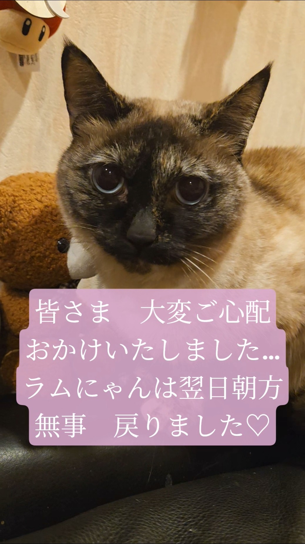 One day and one hour since Ram-chan went missing