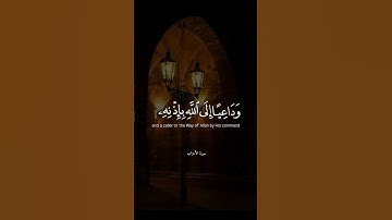سورة الأحزاب | سيد سعيد | Surat Al-Ahzab | Sayed Saeed #quran #قرآن