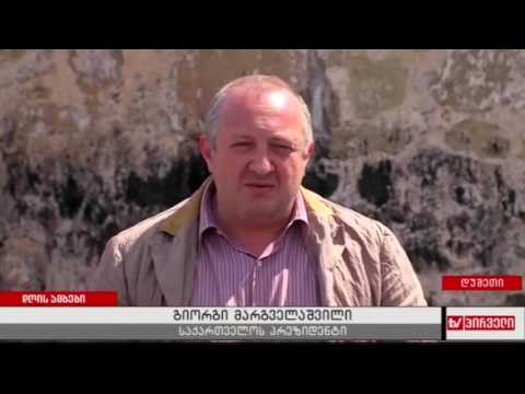 კონსტიტუციის პროექტის განხილვა