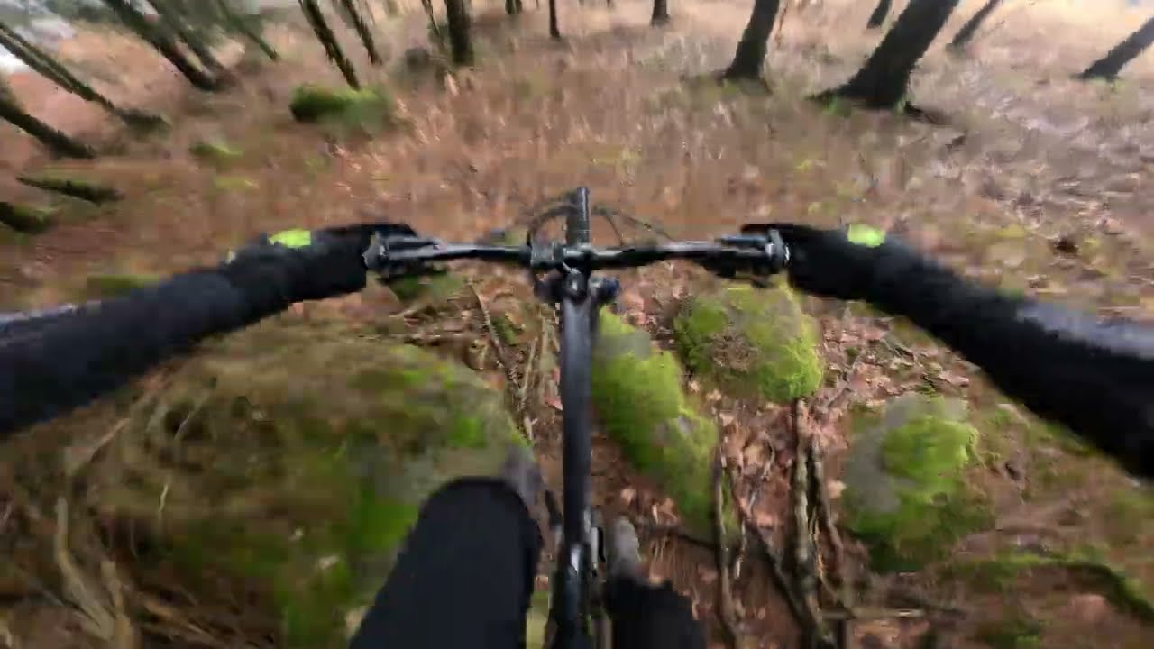 Trialoviny a hřebínek