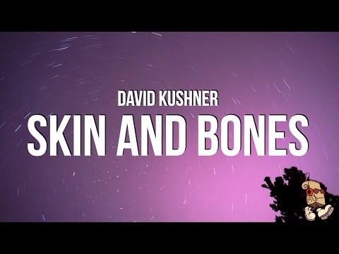 David Kushner - Skin And Bones