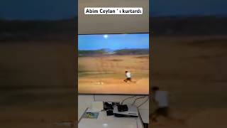 Abim Ceylan I Kurtardı