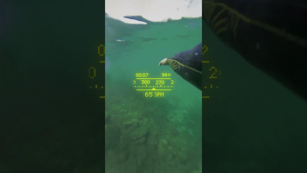 For some straight forward open water swimming with StraightSwim by FORM 