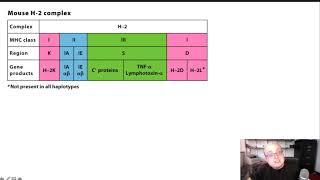 6.3: Gene structure of MHC