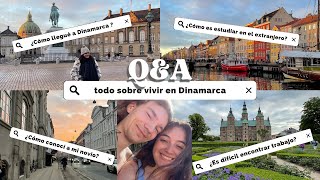 Q&A  Questions about Denmark  all about living, studying and working abroad ✨