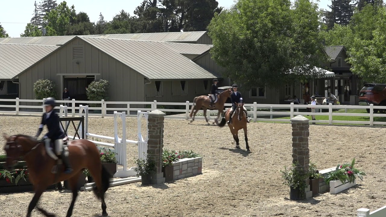 232 Hunter Seat Equitation, Flat 14 & Under YouTube