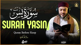 Surah Yaseen (Yasin) | Healing Quran for Calm Nights, Peace and Soul Relief | سورة يس