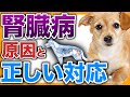 腎臓病は完治するのか！？