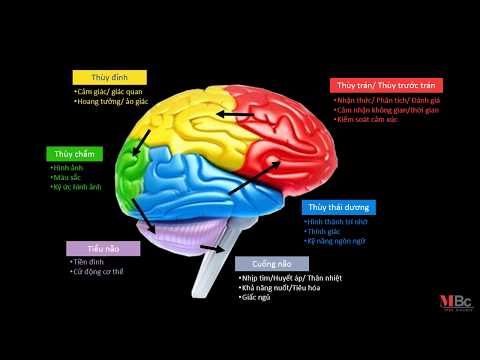 Bệnh Alzheimer là gì?