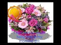 Jessica Elaine King tic tok