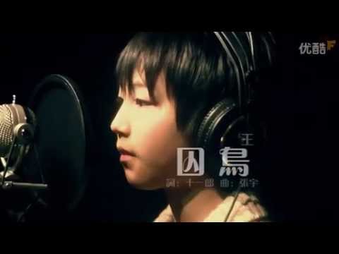 TF家族王俊凱-囚鳥