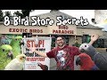 8 Bird Store Secrets Bird Stores Won't Tell You!