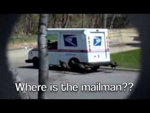 Turkey and the mailman