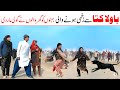 Dog Ramzi Noori Bilo Bhootna Shoki Sanam Falak Sher Funny Video Rachnavi Tv Dog Ramzi Noori Bilo Bhootna Shoki Sanam Falak Sher Funny Video Rachnavi Tv