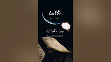 ﴿ إِنَّ أَصْحَابَ الْجَنَّةِ الْيَوْمَ فِي شُغُلٍ فَاكِهُونَ﴾[ سورة يس: 55] #quran_h2o