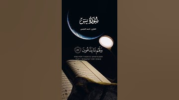 ﴿ إِنَّ أَصْحَابَ الْجَنَّةِ الْيَوْمَ فِي شُغُلٍ فَاكِهُونَ﴾[ سورة يس: 55] #quran_h2o