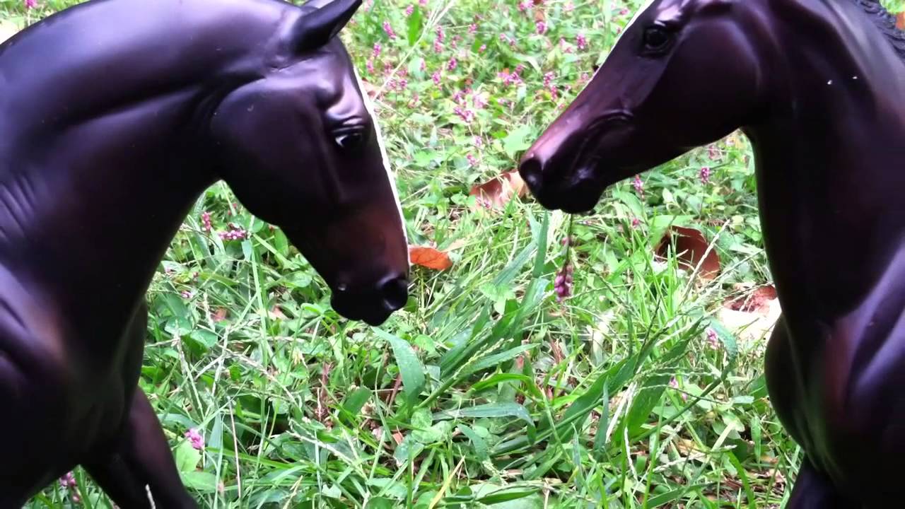 Breyer horse music video YouTube