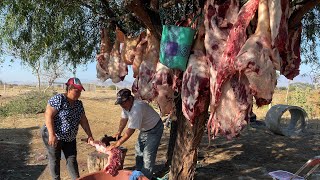 Celebrando Una Mayordomia