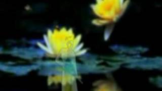 Video thumbnail of "琵琶语 (The Language of Pipa)"