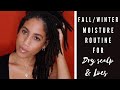 Updated Moisture Routine for my LOCS and what I use for my DRY SCALP!
