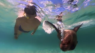 360° Snorkeling Galapagos Isla Lobos May 2024