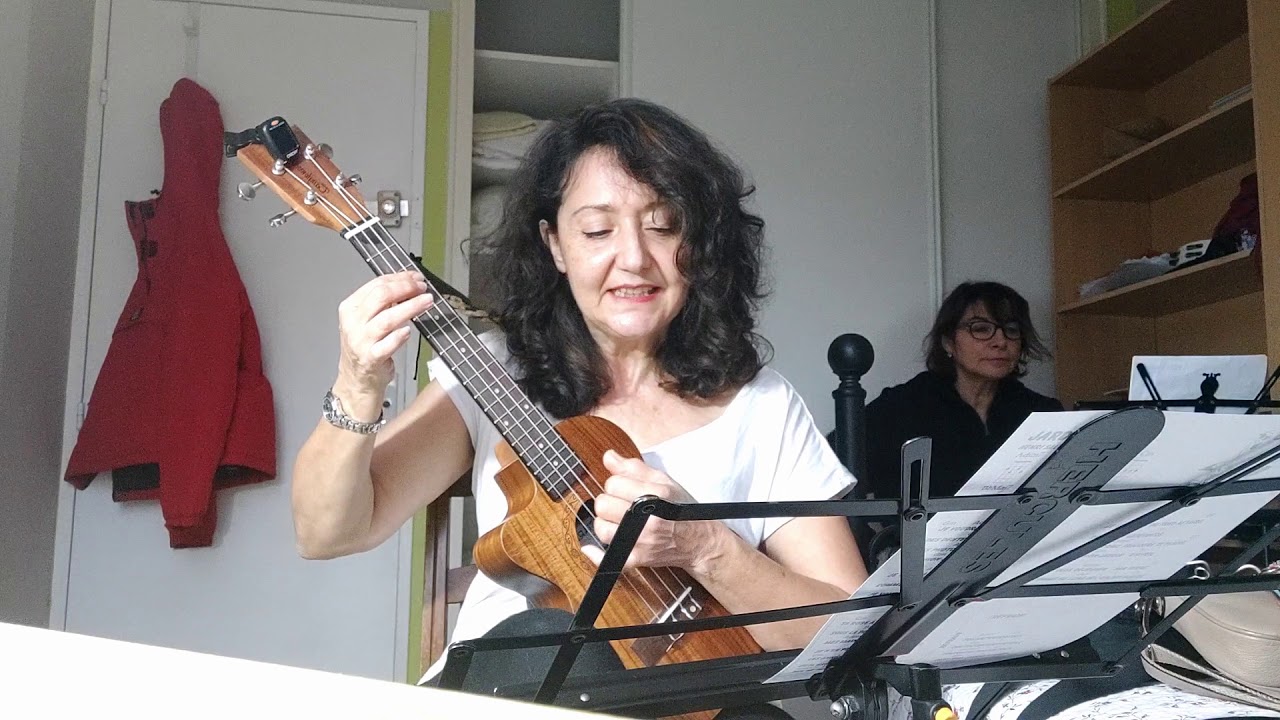 jardin d'hiver Benjamin Biolay/Henri Salvador (ukulele cover