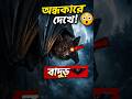 বাদুড় 🦇 অন্ধকারে কীভাবে দেখে? 😳 #shorts