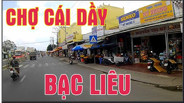 Đi Dạo Tuyến Đường Quốc LỘ 1a Chợ Cái Dầy Bạc Liêu | Chợ Miền Tây