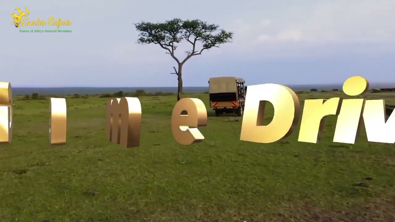 Top Things to Do in Serengeti National Park | Wildlife Safari Safari | Exodus Safaris Travel Guide