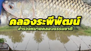 EP.373 สำรวจคลองระพีพัฒน์ คลองนี้มีปลาอะไรบ้าง#fishing #fishingvideo#ตกปลาหน้าดิน#ตกปลาคลองธรรมชาติ