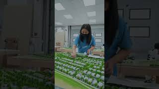 Mastering Miniature Architecture: 3D Printing &amp; Model-Making Techniques | #miniaturebuildersstudio