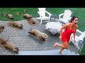 That Really Happened in People's Backyards