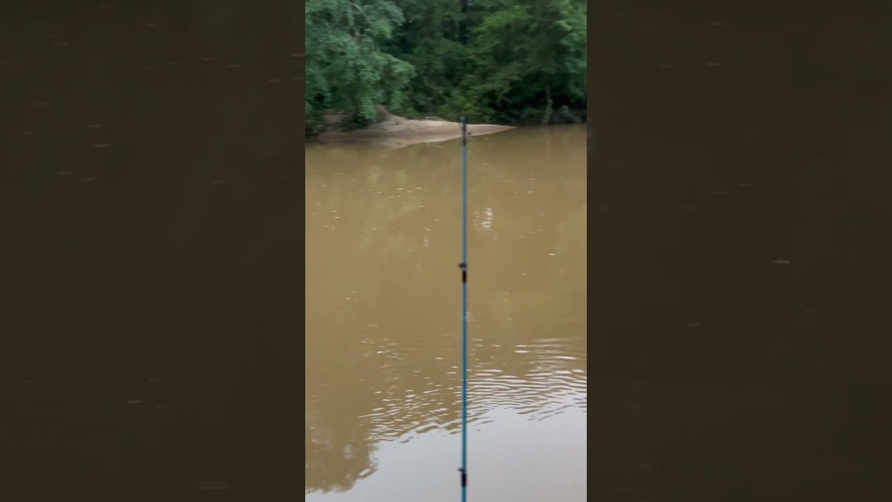 Sunday fishing trip 🎣  