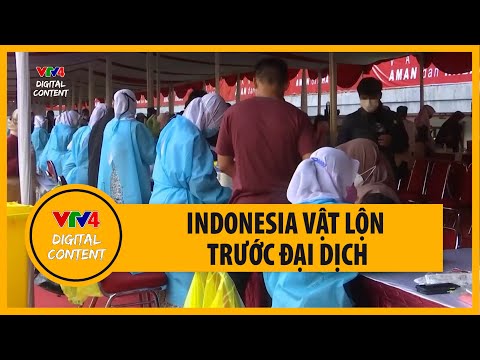Video Người dân Indonesia vật lộn với khó khăn trong đại... - youtube