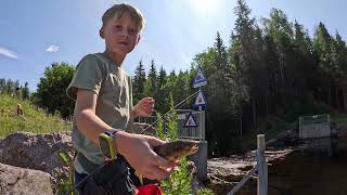 Trym Viser Oss Dupp Og Flue Med Superpuppan